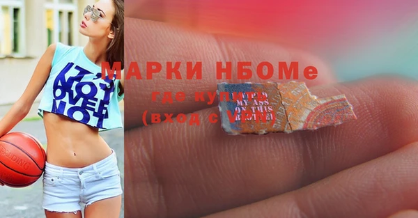 амф Аркадак