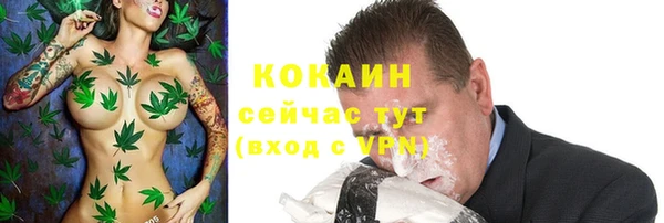 амф Аркадак