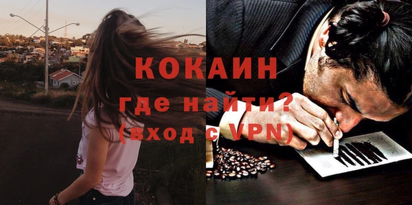 крисы Армянск