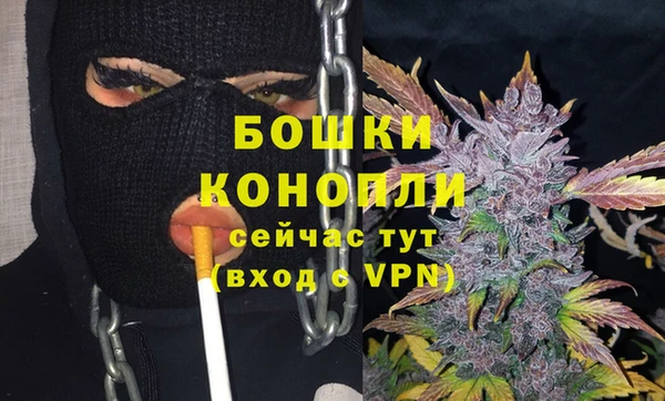 крисы Армянск